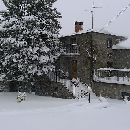 Вилла Agriturismo La Casina Caprese Michelangelo Экстерьер фото