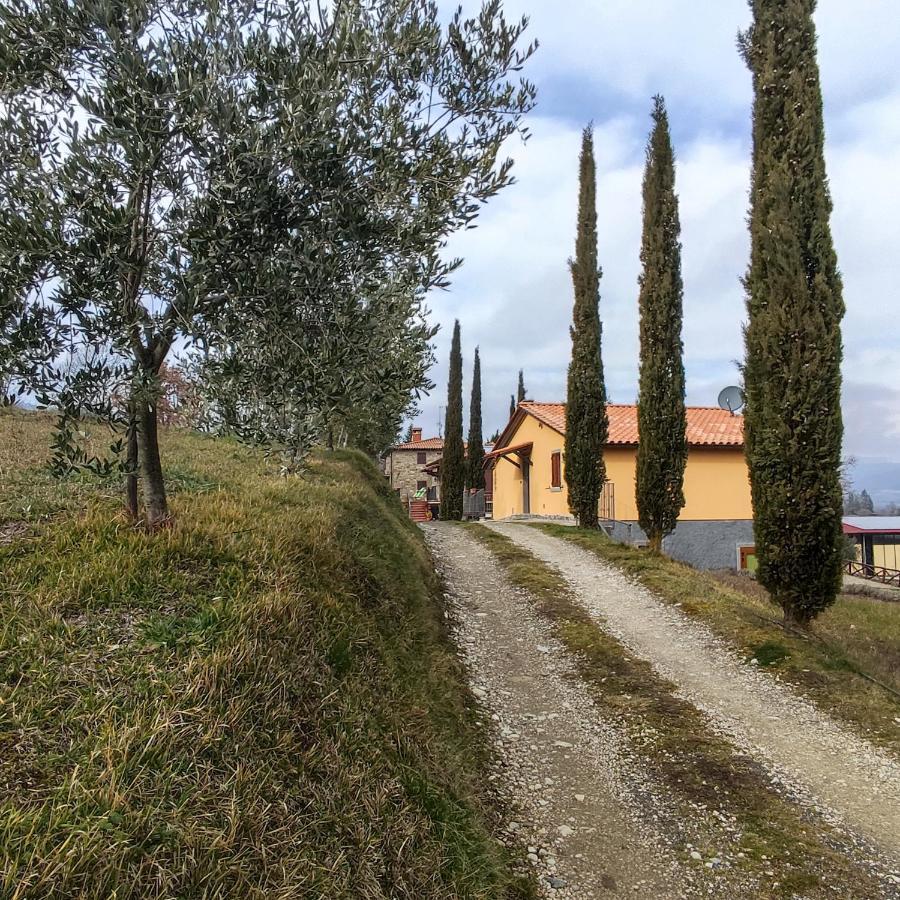 Вилла Agriturismo La Casina Caprese Michelangelo Экстерьер фото